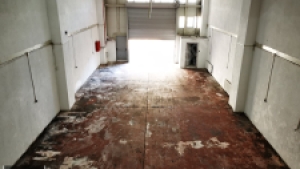 x16-3773951170fp-1910-2020-1247040-wWw.jpg